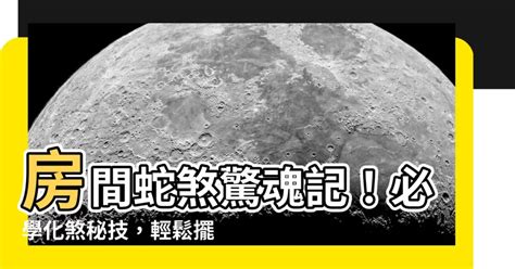 房間蛇煞化解|居家風水｜明廳暗房格局是？科學證實影響健康 主臥 